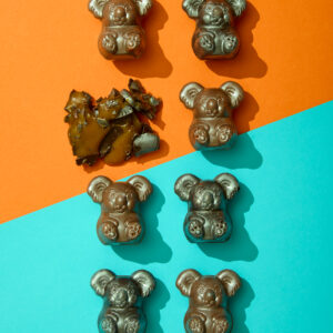 Coconut Caramel Koala Twins - Image 2