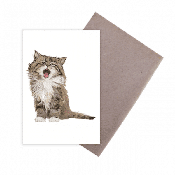 Cat Illustration